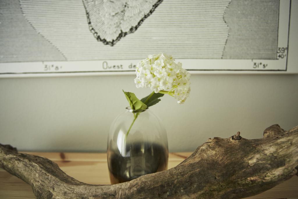 Vlnka Apartments ピエシュチャニ エクステリア 写真